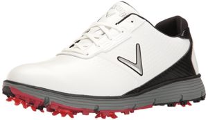 Top 10 Best Golf Shoes for Men in 2023 - TopTenTheBest